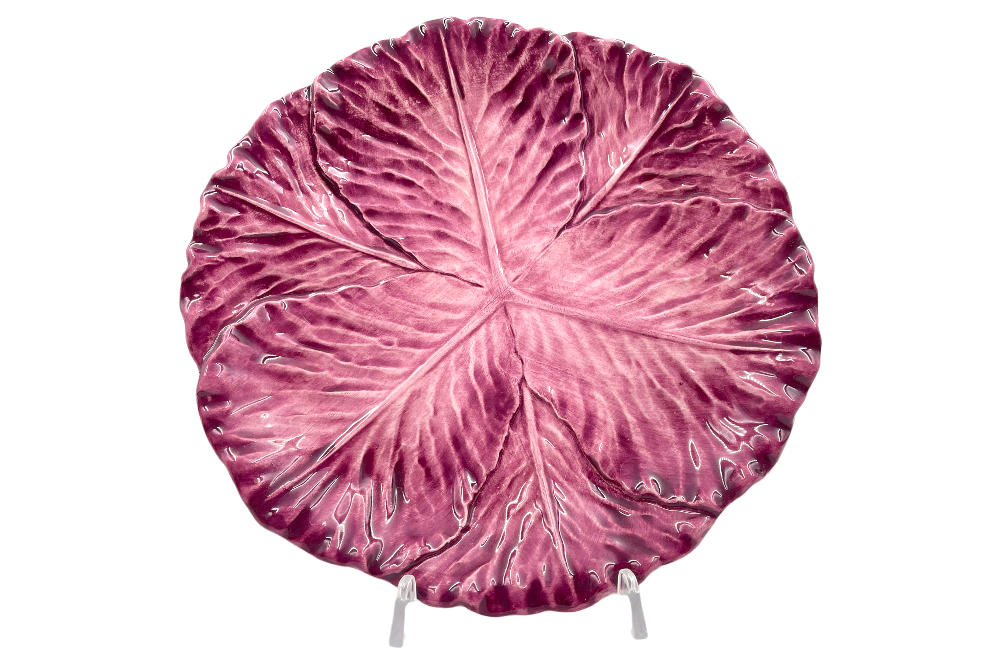 speiseteller mit rotkraut optik