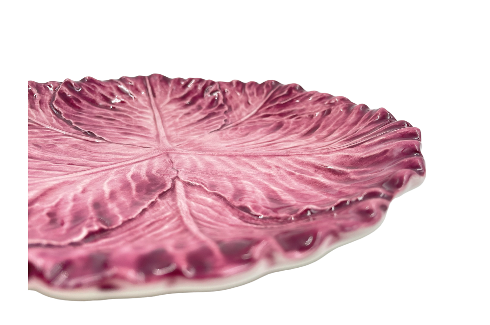 speiseteller mit rotkraut optik detailansicht