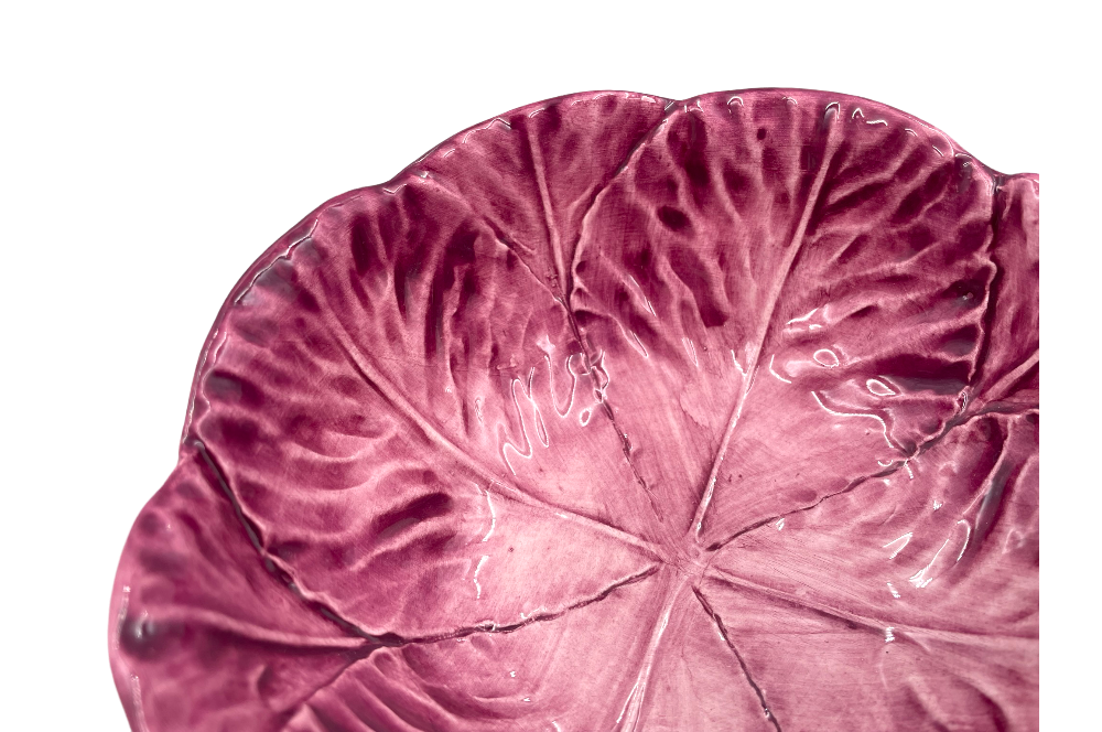 schale mit rotkraut optik detailansicht von oben