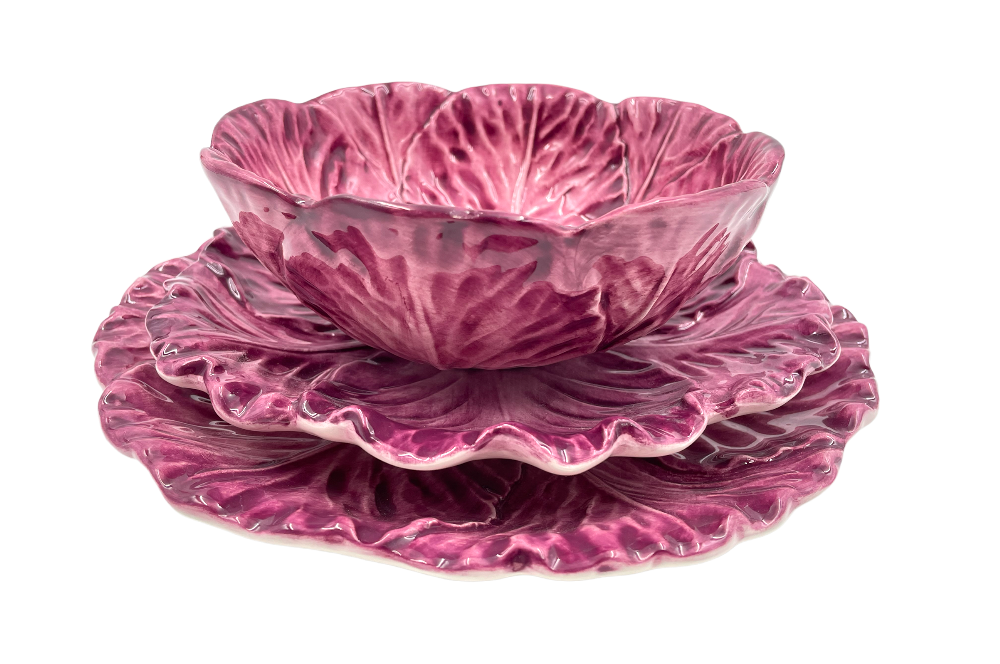 speiseteller mit rotkraut optik mit schale und desertteller