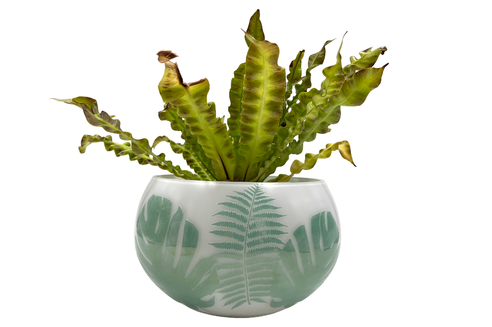 Milchige Vase Blätttermotive, andere perspektive mit farn